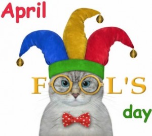 an april's fools day kitty